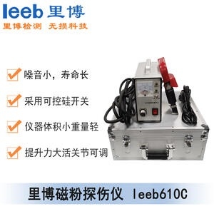 里博leeb610C 磁粉探傷儀